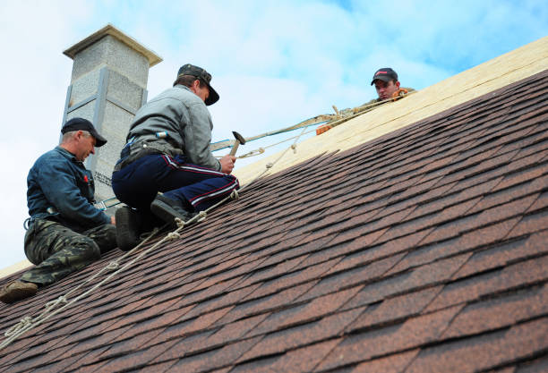 Best Metal Roofing Contractor  in Marion, MS