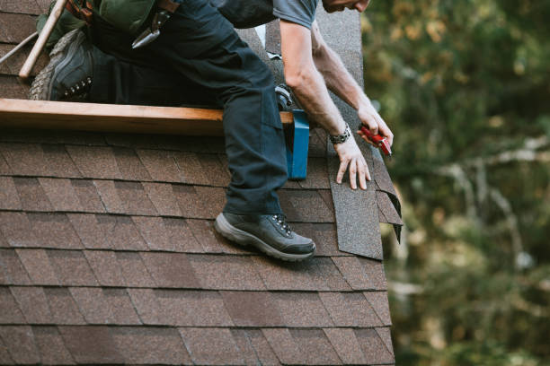 Best Roof Waterproofing Services  in Marion, MS